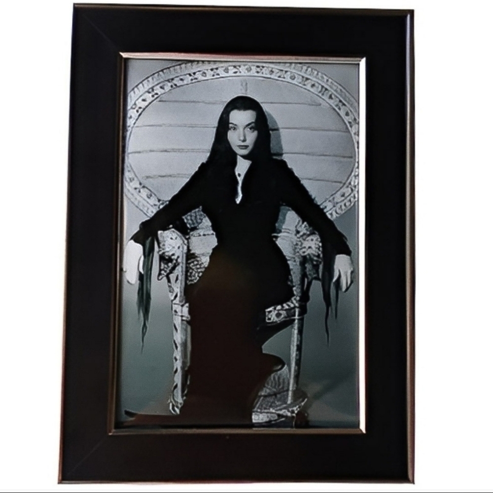 Addams Family Morticia Vintage 60s original Gothic Punk Rock Miss attitude frame